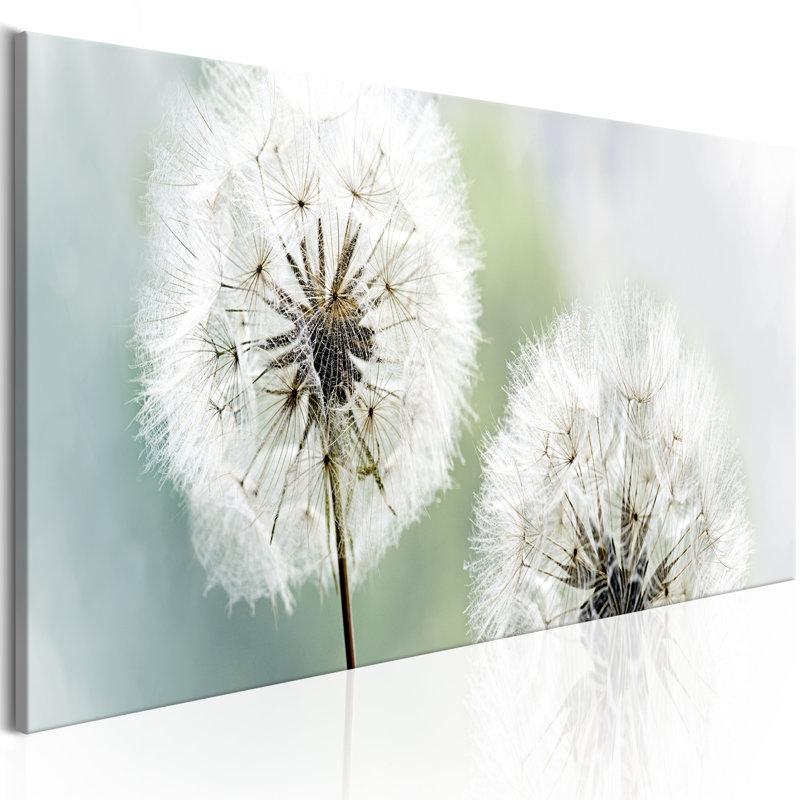 No Frame Print on Canvas, 40cm H x 120cm W