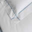 Athena Sham-28664815-109576457