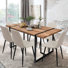 Asparas 59" D 6-Person Rectangular Dining Set with Upholstered Chairs
