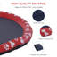 8cm Plastic Dog Pool-100521337