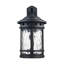 Lanterne murale d'extérieur à 1 ampoule H 12,5 po Krissy-1077257365-1077257361