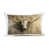 Tan Cow Skull