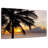 Barbados Coconut Tree-248933839