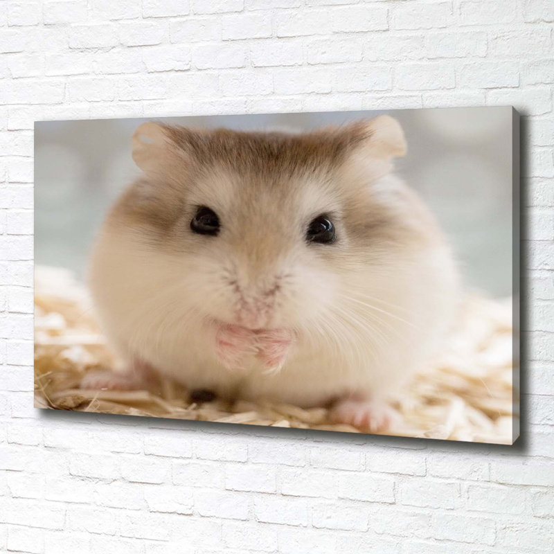 Hamster - No Frame Print on Canvas