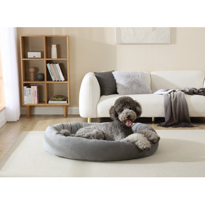 Lit pour chien Tucker Murphy Pet ™ par Arlee Home & Pet Orbit