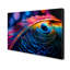 Art mural sur toile plume de paon