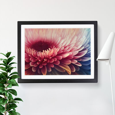 Chrysanthemum Flower Vol.3 - Framed Print