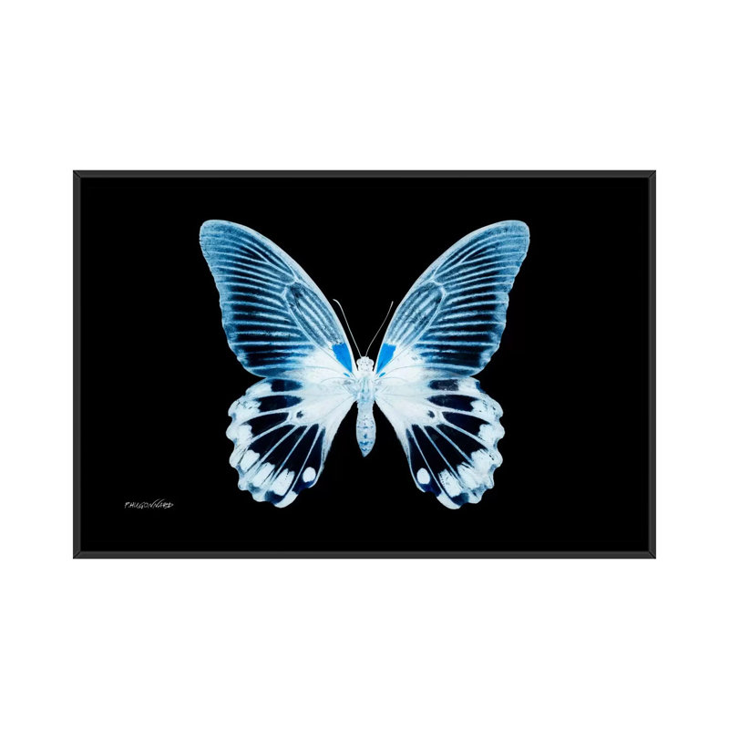 « misse ray x i », impression sur toile, H 18 po x l 26 po x P 1,5 po, Toile avec cadre noir