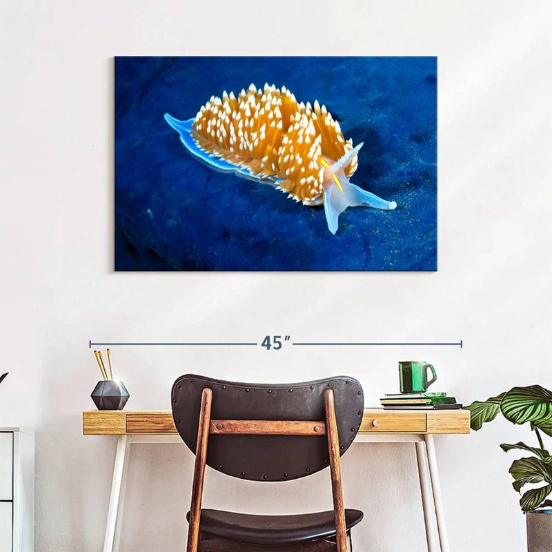 Crowle Glowing Nudibranch, 26" H x 39" W