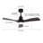 Jhamarion 42" Modern LED Ceiling Fan Chandelier with Remote-1331740346