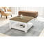 Animesh coffee table