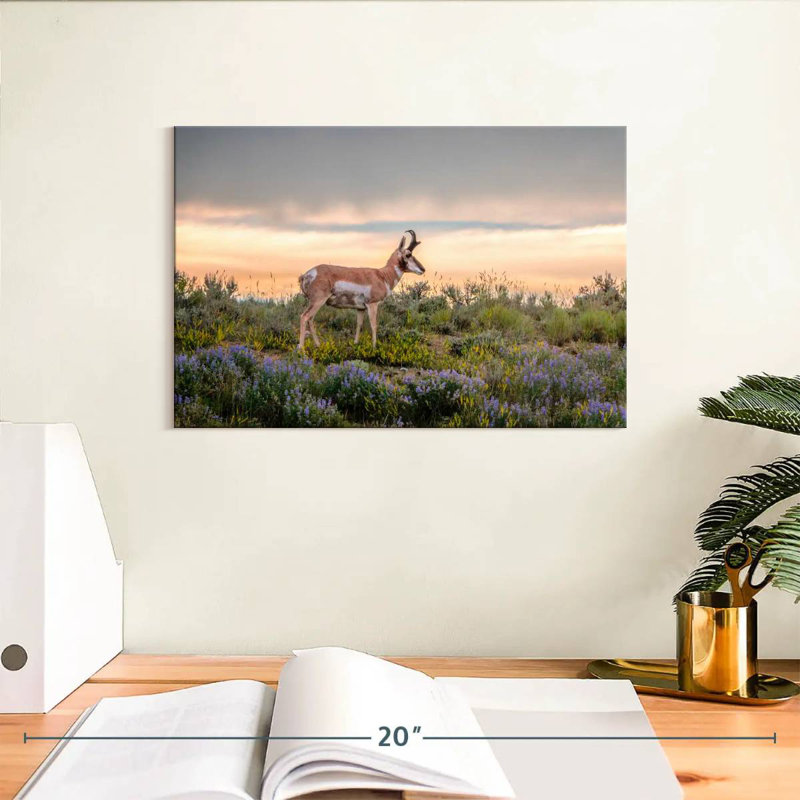 Brampt Pronghorn Antelope, 8" H x 12" W