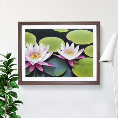 Beguiling Water Lily Flowers 1 Piece Single Picture Frame Wall Art
