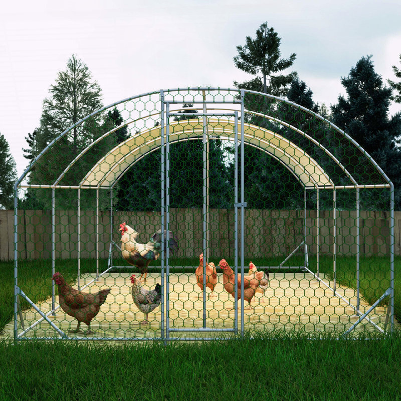 Grande cage à poulets en métal, H 78,72 po x l 314,88 po x P 118,08 po