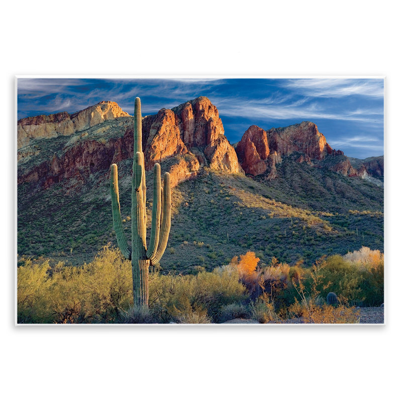 Plaque murale Found You Cactus in Canyon, design par Mike Jones, H 10 po x l 15 po