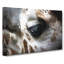 Face of a Giraffe - Wrapped Canvas-55317048