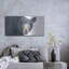 «Black Bear» par Diane Fifer-1714350543