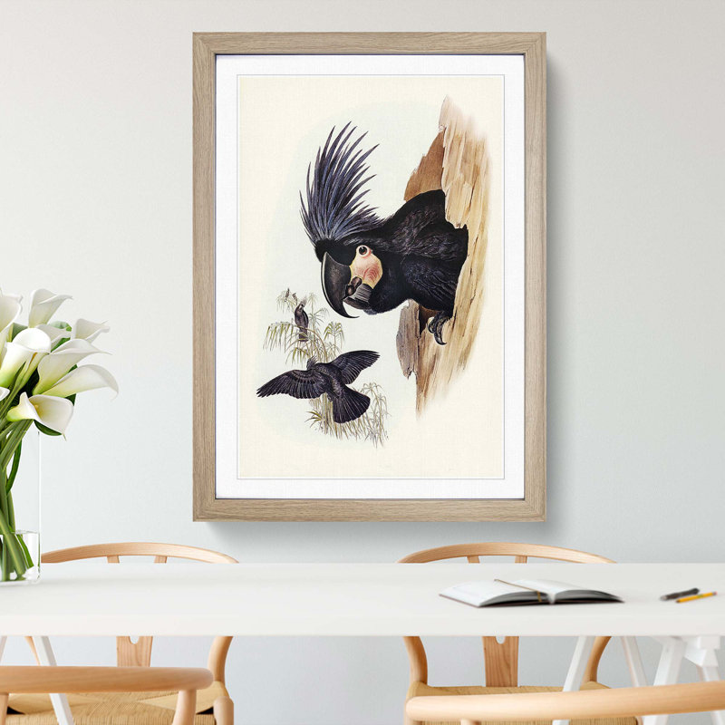 Great Palm-Cockatoos by Elizabeth Gould - Picture Frame Painting Print, 48cm H x 36cm W x 2cm D, Oak Framed