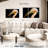 Brampt Peach Pelican Profile-108096223