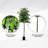 Hand-Made Primrue Modern 6.5'' Artificial Ficus Tree