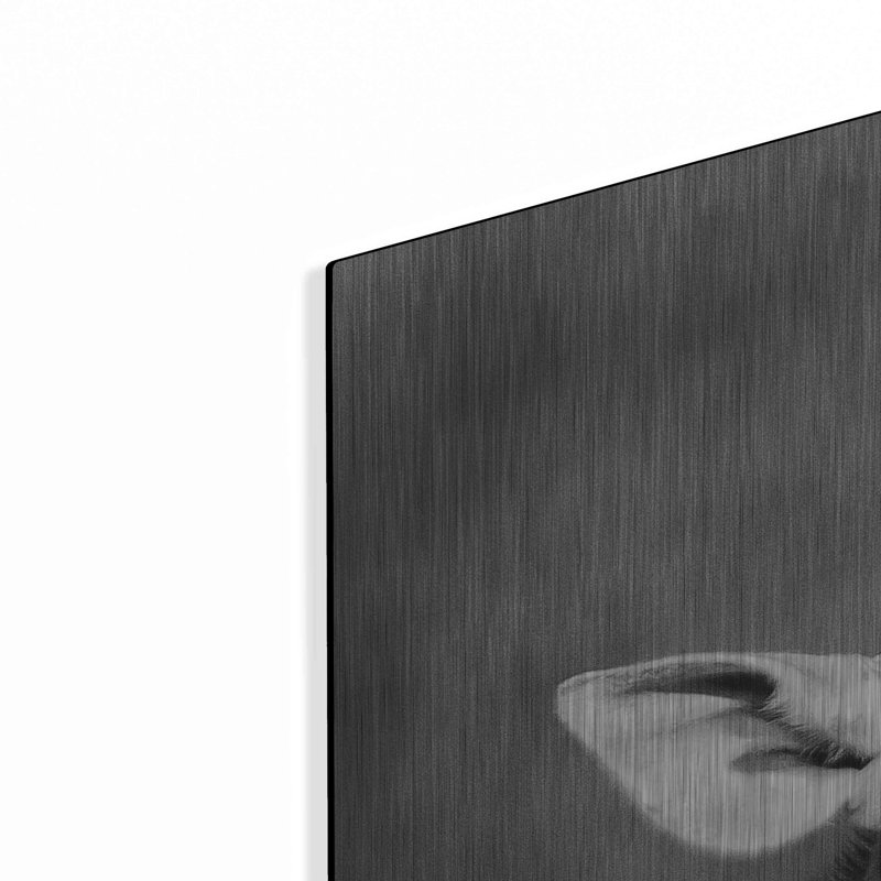 «Little Guy» par Debra Van Swearingen, H 36 po x l 36 po