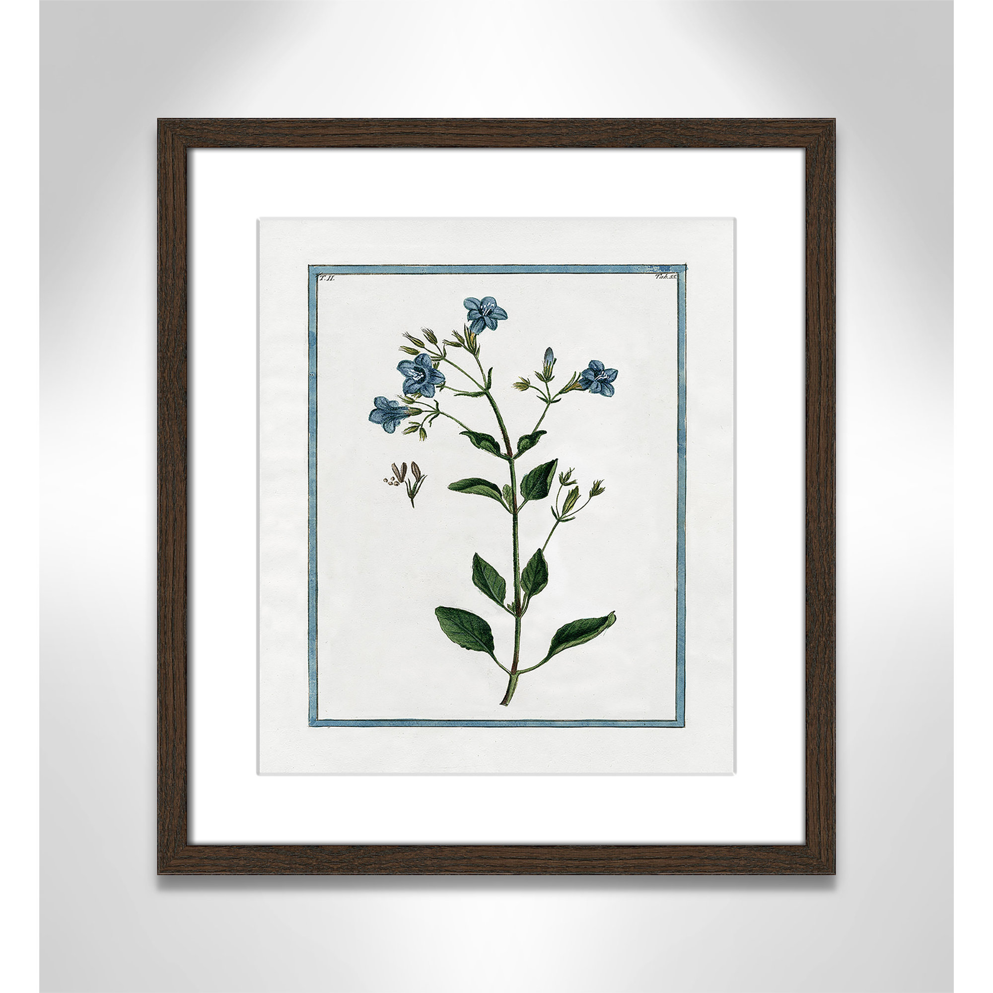 Shabby Elegance Botanical II - Framed Art, 13" W x 15" H, Walnut Framed