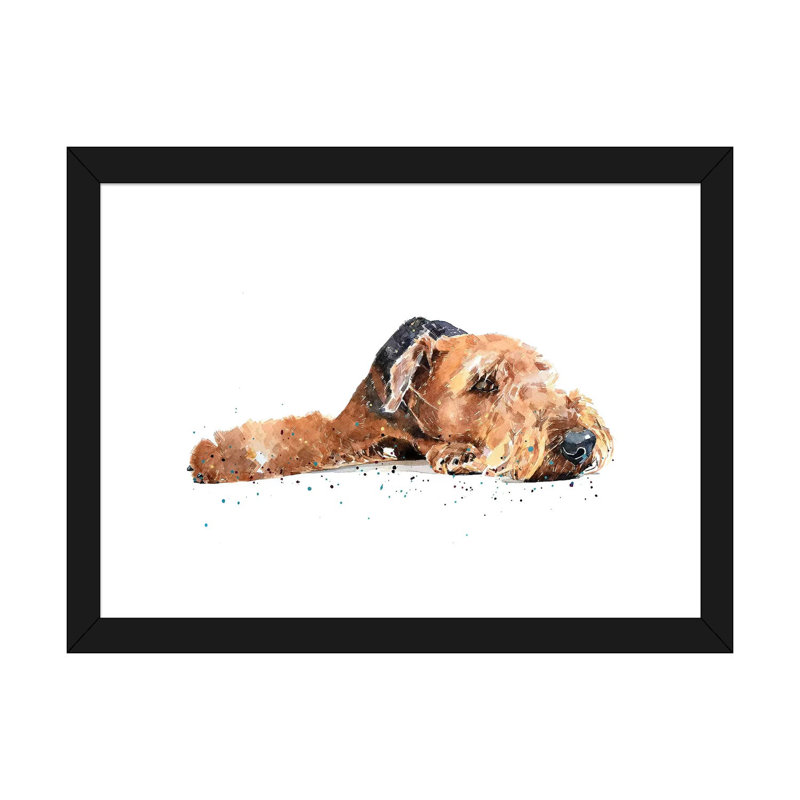 " Airedale " by EdsWatercolours, White, 16" H x 24" W x 1" D, Black Framed Paper