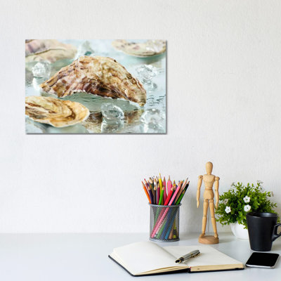 Oyster Shell by Depositphotos - Wrapped Canvas Gallery-Wrapped Canvas Giclée