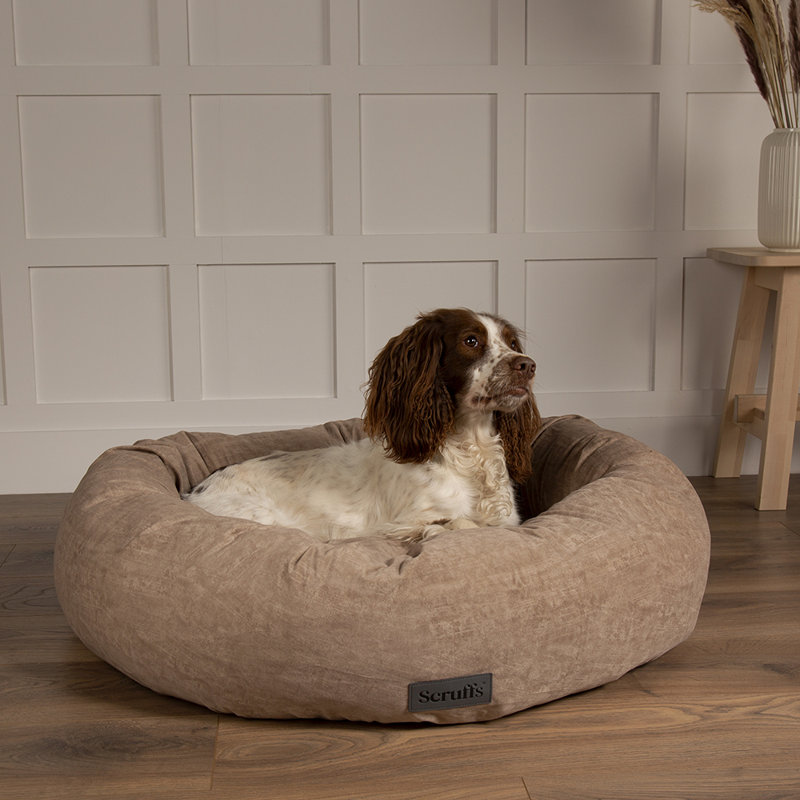 Polyester Pet Bed, Light Brown, Extra Extra Large (40kg and more)