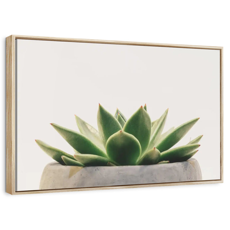 Plante grasse en pierre, Cadre flottant en bois naturel, 13 po x 9 po
