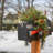 36in. Crestwood Spruce Mailbox Swag with LED Lights