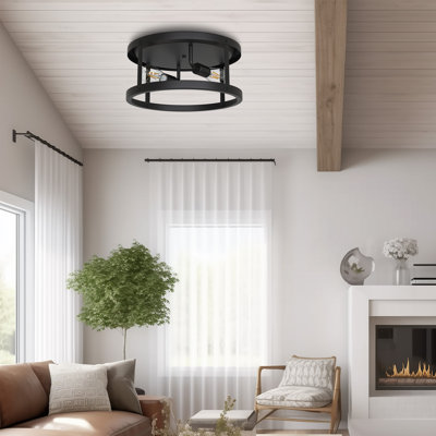 Craspedia 2-Light Black Drum Farmhouse Flush Mount