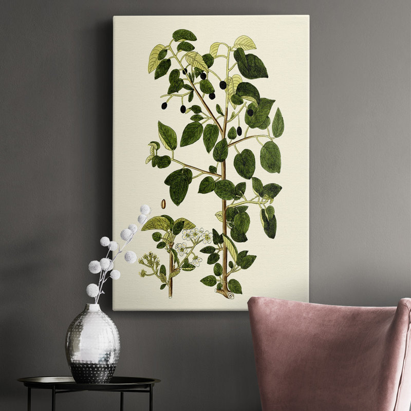 Olive Greenery V - peinture sur toile tendue, H 60 po x l 40 po x P 1,5 po