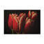 Art sur toile, Bolo-109226759