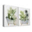 Plant Plant I - Toile tendue avec châssis de qualité supérieure - Prêt à être accroché-1865905325