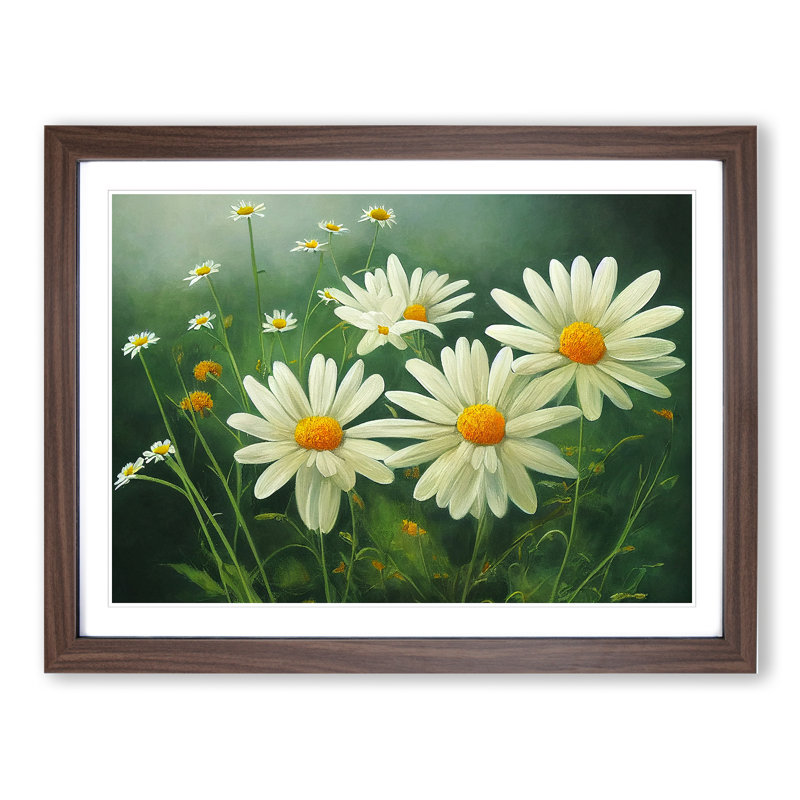 Daisy Flower - Single Picture Frame Print, 25cm H x 34cm W x 2cm D, Walnut