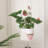 Plant Stand