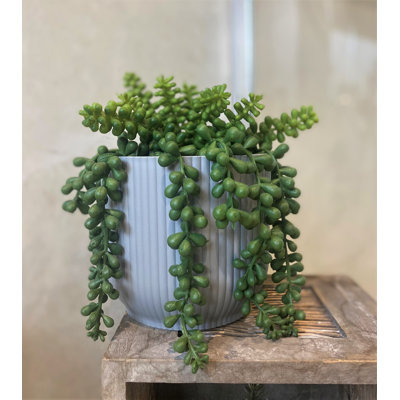 Pot Planter