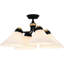 Gelsomina 4-Light Matte Black Semi-Flush Mount Light