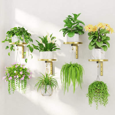 4 pièces étagères murales pour plantes avec cintres pour jardinières d'intérieur, support pour fleur flottant en métal robuste, or classique