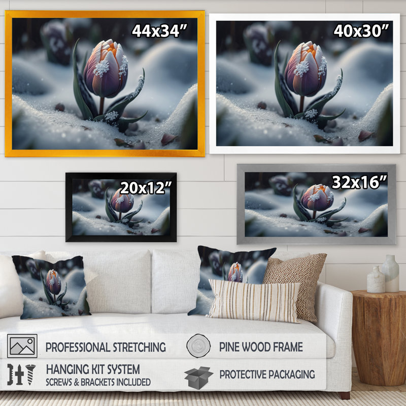 «A Blooming Multicolor Tulip Flower in Winter II», impression sur toile, H 12 po x l 20 po x P 1 po