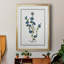 Toile encadrée de qualité supérieure Soft Botanical I - prête à être accrochée-882633370-882633373