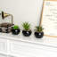 14.99 Cm Faux Plant