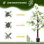 150cm Faux Flowering Plant in Cement Pot