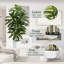 Arbre de Dracaena artificiel 5 pi - Faux Dracaena, faux arbre pour la décoration intérieure et extérieure