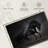 Brampt Elegant Black Horse-107680412