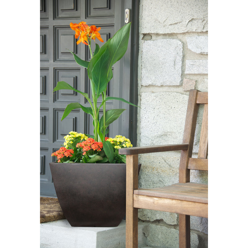 Pot à fleurs carré en résine Newland, H 13,5 po x l 16 po x P 16 po, Café