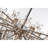 Light Ice Monique Chandelier-1519844713-1519844718-1477220856