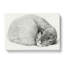 Slumbering Cat by Jean Bernard - Wrapped Canvas Print-55318589