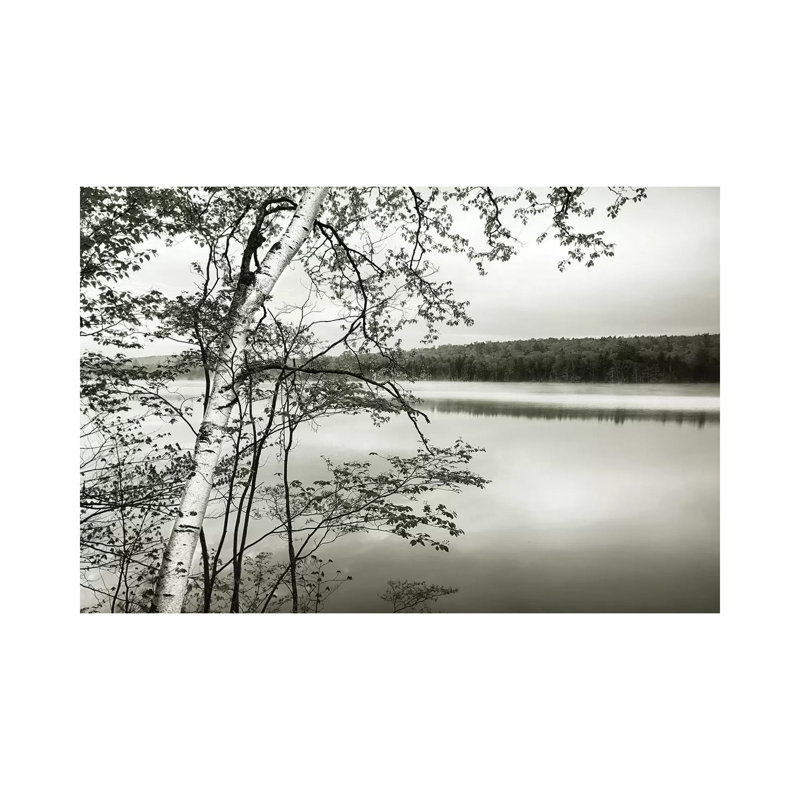 Adirondack Reflections by Danita Delimont - Print on Canvas, Wrapped Canvas, 101.6 cm H x 66.04 cm W x 1.91 cm D